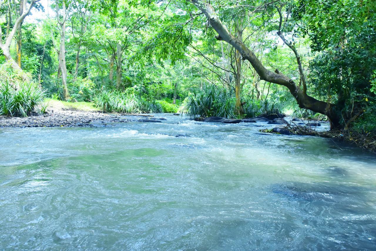 Silent River Cottage Udawalawe Buitenkant foto